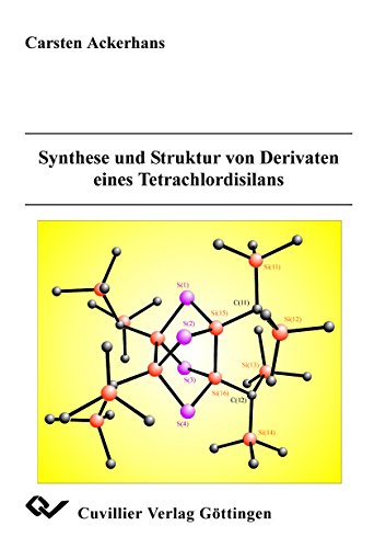9783898735469: Synthese und Struktur von Derivaten eines Tetrachlordisilans