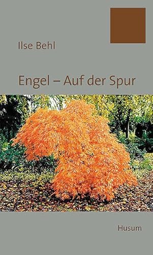 Imagen de archivo de Engel - Auf der Spur a la venta por Antiquariat Blschke