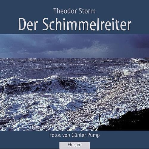 Der Schimmelreiter. (9783898761444) by Storm, Theodor