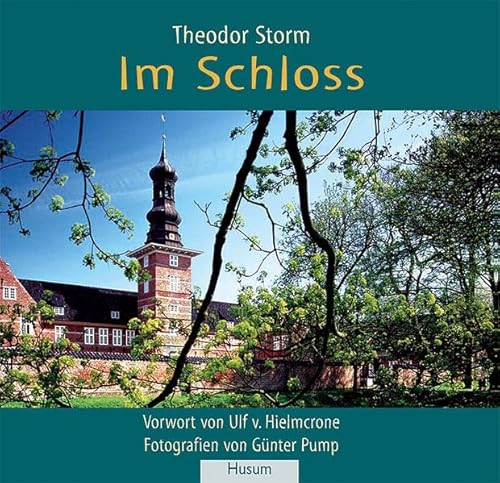 Stock image for Im Schloss: Novelle for sale by Books Unplugged
