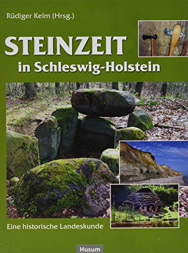 9783898769624: Steinzeit in Schleswig-Holstein: Eine historische Landeskunde