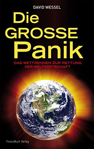 9783898794855: Die groe Panik: Das Wettrennen zur Rettung der Weltwirtschaft