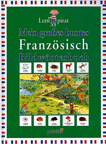 Stock image for Mein groes buntes Franzsisch Bildwrterbuch, Lernpirat for sale by Antiquariat am Mnster Gisela Lowig
