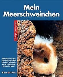 9783898936408: Mein Meerschweinchen. Farbige Tierratgeber