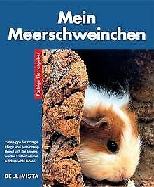 Stock image for Mein Meerschweinchen. Farbige Tierratgeber for sale by Gabis Bcherlager