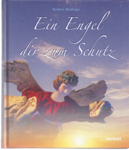 Stock image for Ein Engel dir zum Schutz for sale by Versandantiquariat Felix Mcke