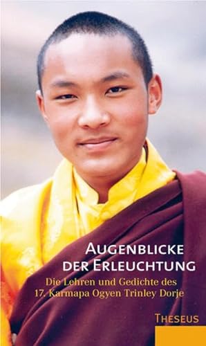 Beispielbild für Augenblicke der Erleuchtung: Die Lehren und Gedichte des 17. Karmapa Ogyen Trinley Dorje zum Verkauf von medimops