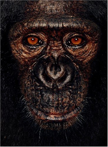 Beispielbild fr James und andere Affen zum Verkauf von medimops