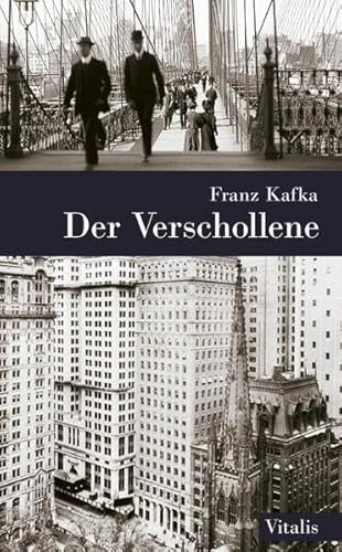 Stock image for Der Verschollene for sale by Karl Theis