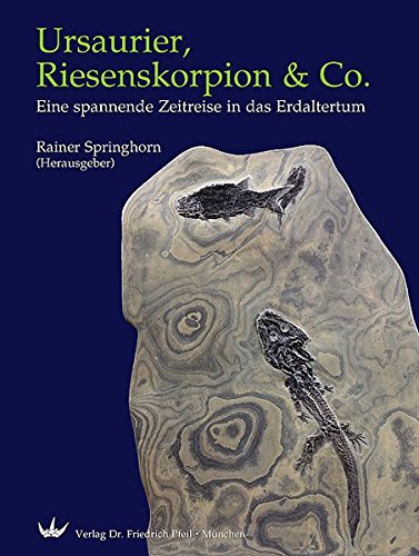Ursaurier, Riesenskorpion & Co. Eine spannende Zeitreise in das Erdaltertum - Springhorn, Rainer (Hrsg.)