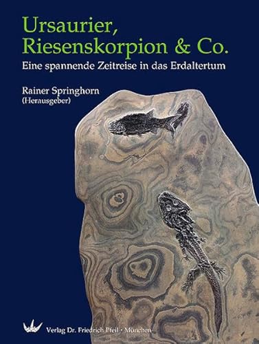 Ursaurier, Riesenskorpion & Co.: Eine spannende Zeitreise in das Erdaltertum (9783899371307) by Unknown Author