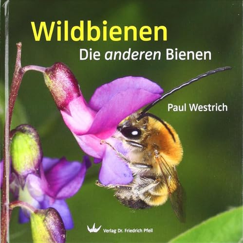 Wildbienen: Die anderen Bienen - Westrich, Paul