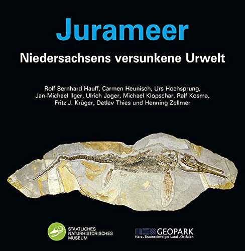 9783899371727: Jurameer: Niedersachsens versunkene Urwelt