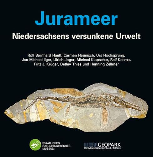 Stock image for Jurameer: Niedersachsens versunkene Urwelt for sale by medimops