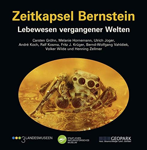 Imagen de archivo de Grhn: Zeitkapsel Bernstein - Lebewesen vergangener Welten a la venta por Blackwell's