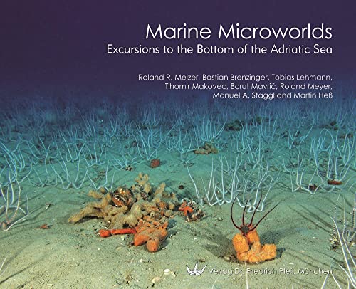 Imagen de archivo de Marine Microworlds: Excursions to the Bottom of the Adriatic Sea a la venta por Revaluation Books