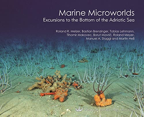 Stock image for Marine Microworlds: Excursions to the Bottom of the Adriatic Sea for sale by Revaluation Books