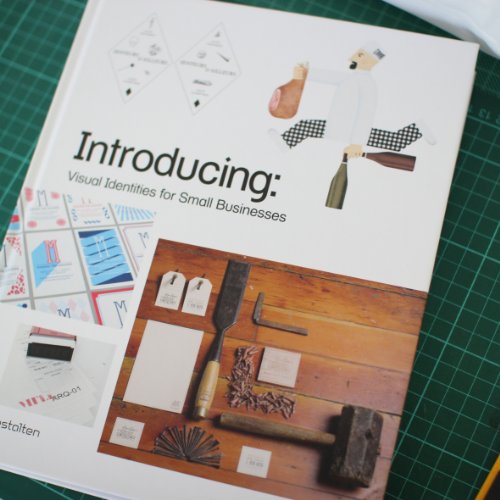 Beispielbild fr Introducing: Visual Identities for Small Businesses: Innovative graphic design identities for small, creative companies zum Verkauf von WorldofBooks