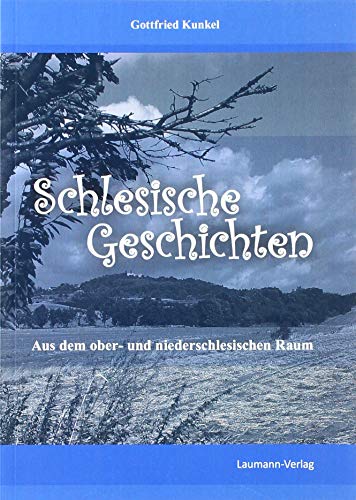 9783899604733: Schlesische Geschichten: Aus dem ober- und niederschlesischen Raum