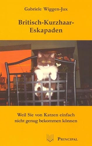 Beispielbild fr Britisch-Kurzhaar-Eskapaden: Weil Sie von Katzen einfach nicht genug bekommen knnen zum Verkauf von medimops