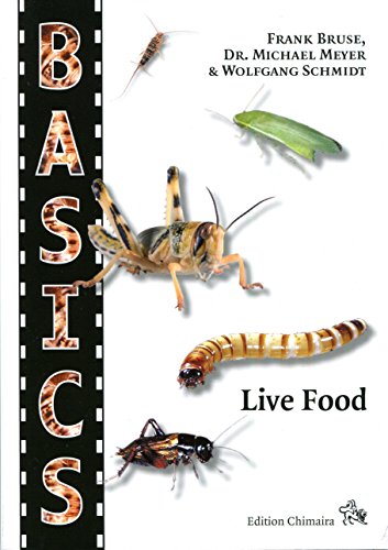 9783899730425: BASICS - Live Food - Guide Book