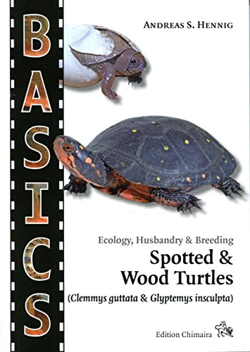 Imagen de archivo de BASICS - Ecology, Husbandry & Breeding Spotted & Wood Turtles (Clemmys guttata & Glyptemys insculpta) - Guide Book a la venta por Off The Shelf