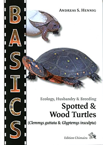 Stock image for BASICS - Ecology, Husbandry & Breeding Spotted & Wood Turtles (Clemmys guttata & Glyptemys insculpta) - Guide Book for sale by Off The Shelf