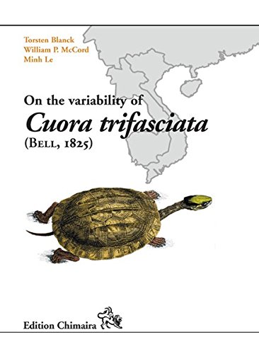 9783899734560: On the variability of Cuora trifasciata
