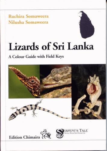 Beispielbild fr Lizards of Sri Lanka, A Colour Guide with Field Keys zum Verkauf von The Bookseller