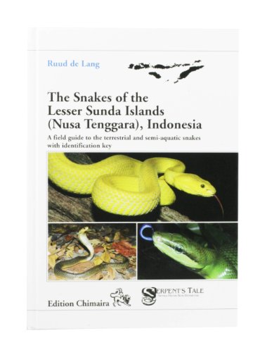 Beispielbild fr Snakes of the Lesser Sunda Islands (Nusa Tenggara), Indonesia zum Verkauf von PAPER CAVALIER UK