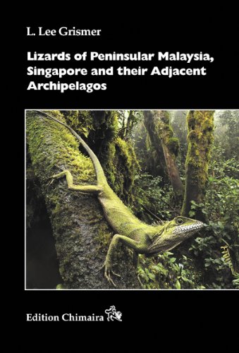 9783899734843: Lizards of Peninsular Malaysia, Singapore and their Adjacent Archipelagos