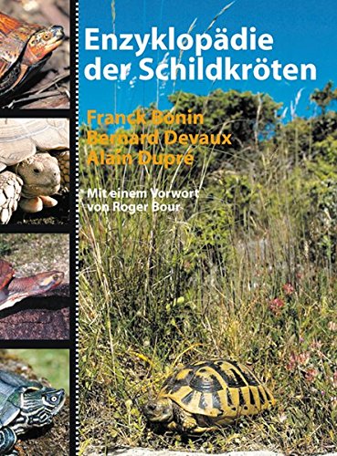 Stock image for Enzyklopdie der Schildkrten. for sale by Antiquariat Bernhardt