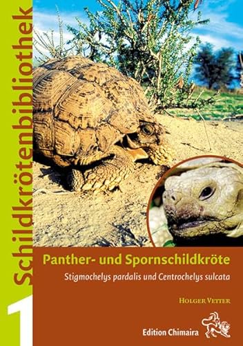 Beispielbild fr Panther- und Spornschildkrte (Stigmochelys pardalis und Centrochelys sulcata) [Gebundene Ausgabe] Holger Vetter (Autor) zum Verkauf von BUCHSERVICE / ANTIQUARIAT Lars Lutzer