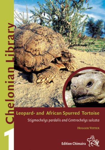 9783899736014: Leopard and African Spurred Tortoise: 'Stigmochelys pardalis and Centrochelys sulcata' (Chelonian Library, Volume 1) by Holger Vetter (2005-12-31)