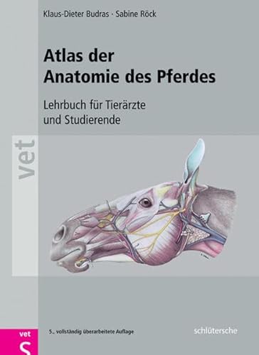 Stock image for Atlas der Anatomie des Pferdes. Lehrbuch fr Tierrzte und Studierende for sale by medimops