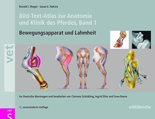 Beispielbild fr Bild-Text-Atlas zur Anatomie und Klinik des Pferdes Band 1. Bewegungsapparat und Lahmheit (Schltersche Vet) zum Verkauf von medimops