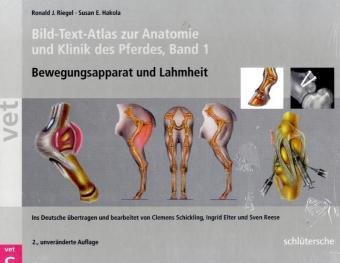 Beispielbild fr Bild-Text-Atlas zur Anatomie und Klinik des Pferdes 1 u. 2: Bewegungsapparat und Lahmheiten / Fortpflanzung und Innere Medizin (Gebundene Ausgabe) von Ronald J Riegel (Autor), Susan E Hakola (Autor) zum Verkauf von BUCHSERVICE / ANTIQUARIAT Lars Lutzer