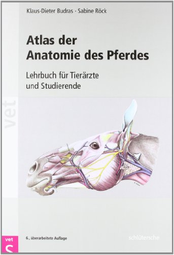 Stock image for Atlas der Anatomie des Pferdes: Lehrbuch fr Tierrzte und Studierende for sale by medimops