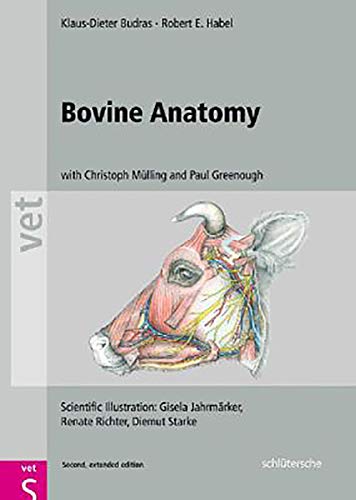 Beispielbild fr Bovine Anatomy: An Illustrated Text, Second Edition (Vet (Schlutersche)) zum Verkauf von Monster Bookshop