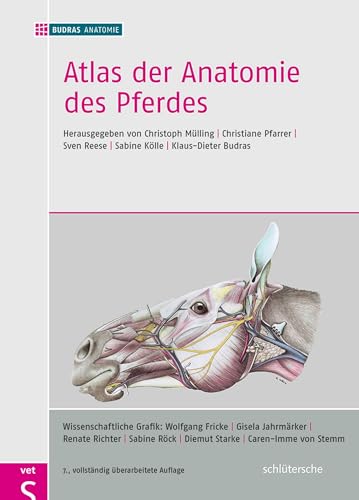 Stock image for Atlas der Anatomie des Pferdes: Lehrbuch fr Tierrzte und Studierende (Gebundene Ausgabe) Veterinrmedizin Vorklinik Anatomie Anatomieatlas Anatomie Veterinrmedizin Anatomie Veterinrmedizin Veterinranatomie Anatomie Veterinrmediziner Bauchhhle Bewegungsapparat Bildgebende Verfahren Biomechanik Brusthhle Chirurgie Gliedmaen klinische Anatomie Lehrbuch Myologie Nervensystem Pferd Pferde; Veterinrmedizin Pferde Veterinrmedizin Rntgenanatomie Statik Topographische Anatomie Zentralnervensystem Klaus-Dieter Budras (Autor), Sabine Rck (Autor) for sale by BUCHSERVICE / ANTIQUARIAT Lars Lutzer