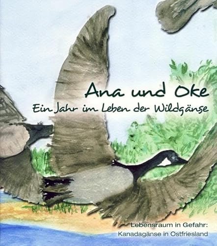 9783899959444: Ana und Oke: Ein Jahr im Leben der Wildgnse. Lebensraum in Gefahr: Kanadagnse in Ostfriesland