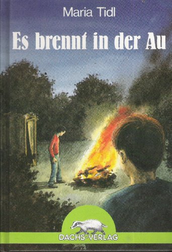 Stock image for Es brennt in der Au. (Ab 10 J.) for sale by Versandantiquariat Felix Mcke