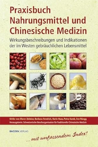 Stock image for Praxisbuch Nahrungsmittel und Chinesische Medizin: Wirkungsbeschreibungen und Indikationen der im Westen gebräuchlichen Lebensmittel for sale by Half Price Books Inc.