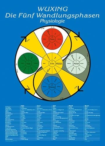 Die Fünf Wandlungsphasen: Physiologie: Lehrtafel in A4 - Ploberger Florian