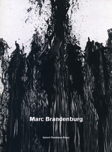 Stock image for Marc Brandenburg: Vomit, From, Fictious Movement for sale by Ludilivre Photobooks