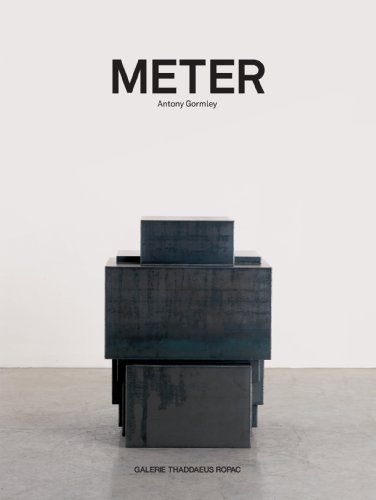 Stock image for Antony Gormley : METER --------- [ Bilingual : ENGLISH // DUTSCH ] for sale by Okmhistoire