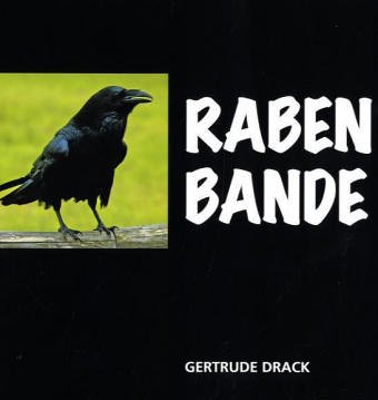 Stock image for Rabenbande for sale by Buchmarie