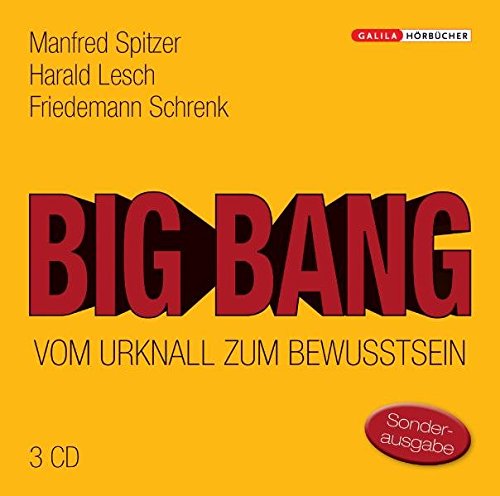 Big Bang: Vom Urknall zum Bewusstsein - Manfred Spitzer