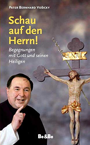 Schau auf den Herrn!: Begegnungen mit Gott und seinen Heiligen - Vosicky, Bernhard