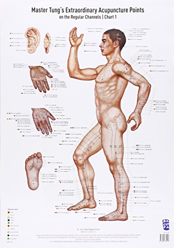 9783902735157: Akupunkturtafel Chart 1 Tung's Extraordinary Acupuncture Points on the regular channels